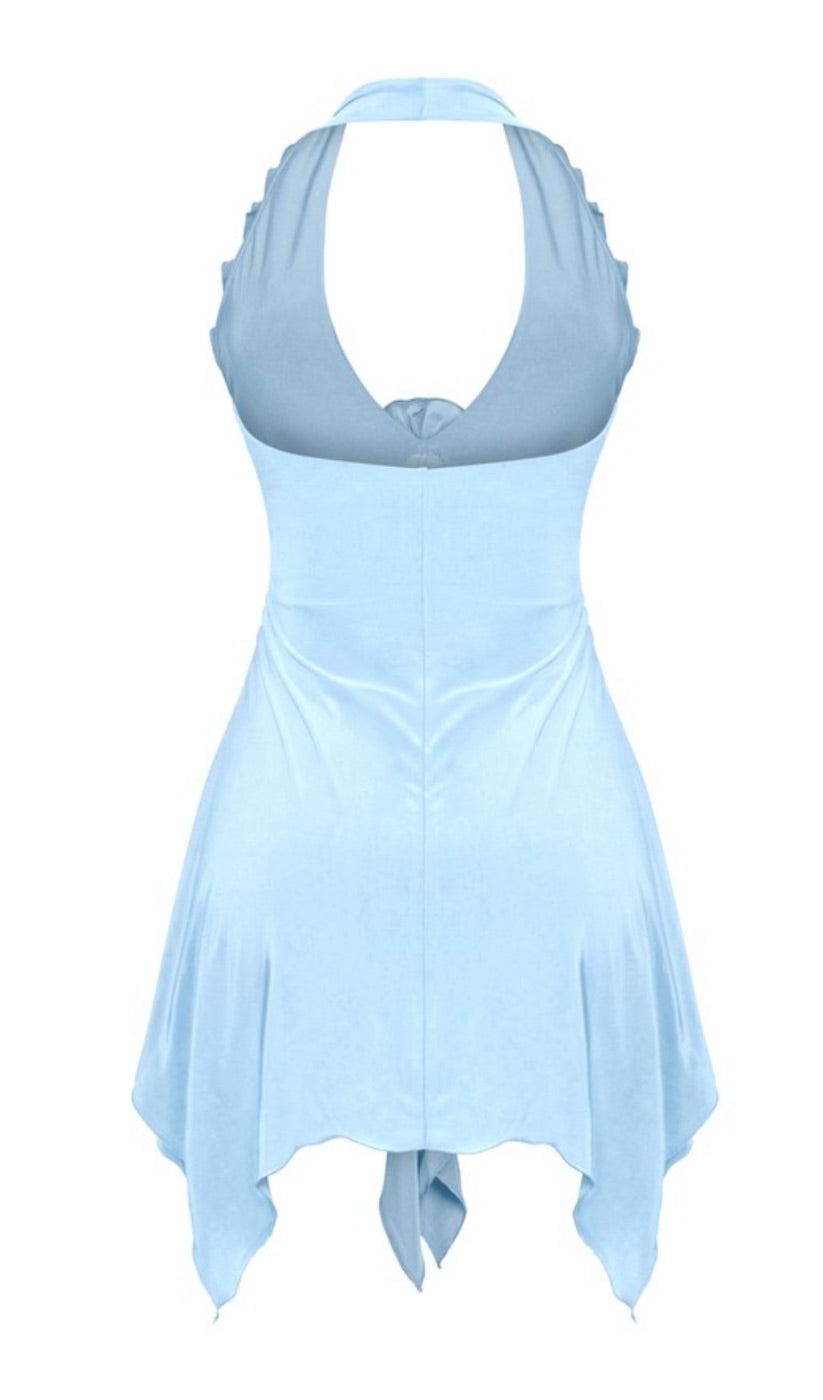 ROSE DRESS
